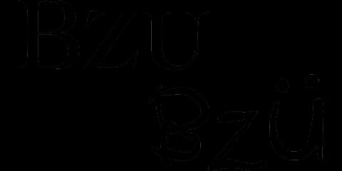 BZU BZU logo