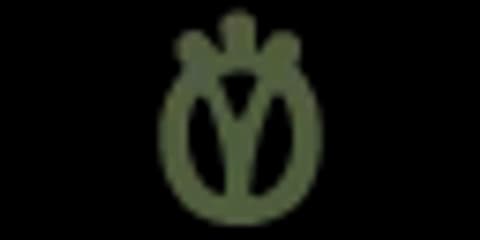Hazel Village logo