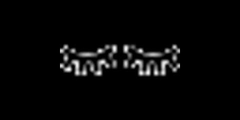 Little Sleepies logo