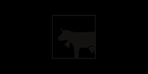 Trauffer logo