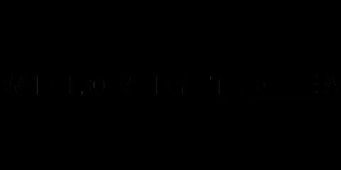 Willow by the Sea logo