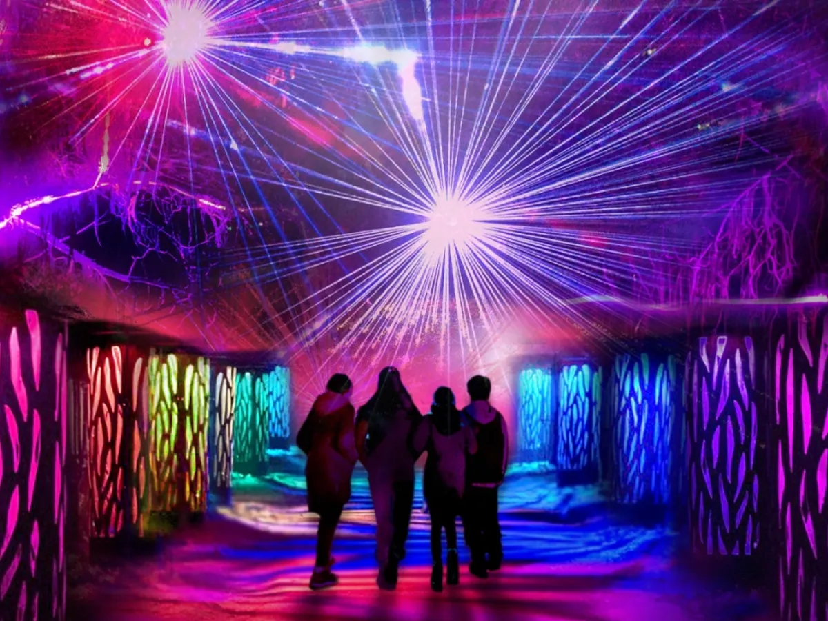 Lightscape at Chicago Botanic Garden