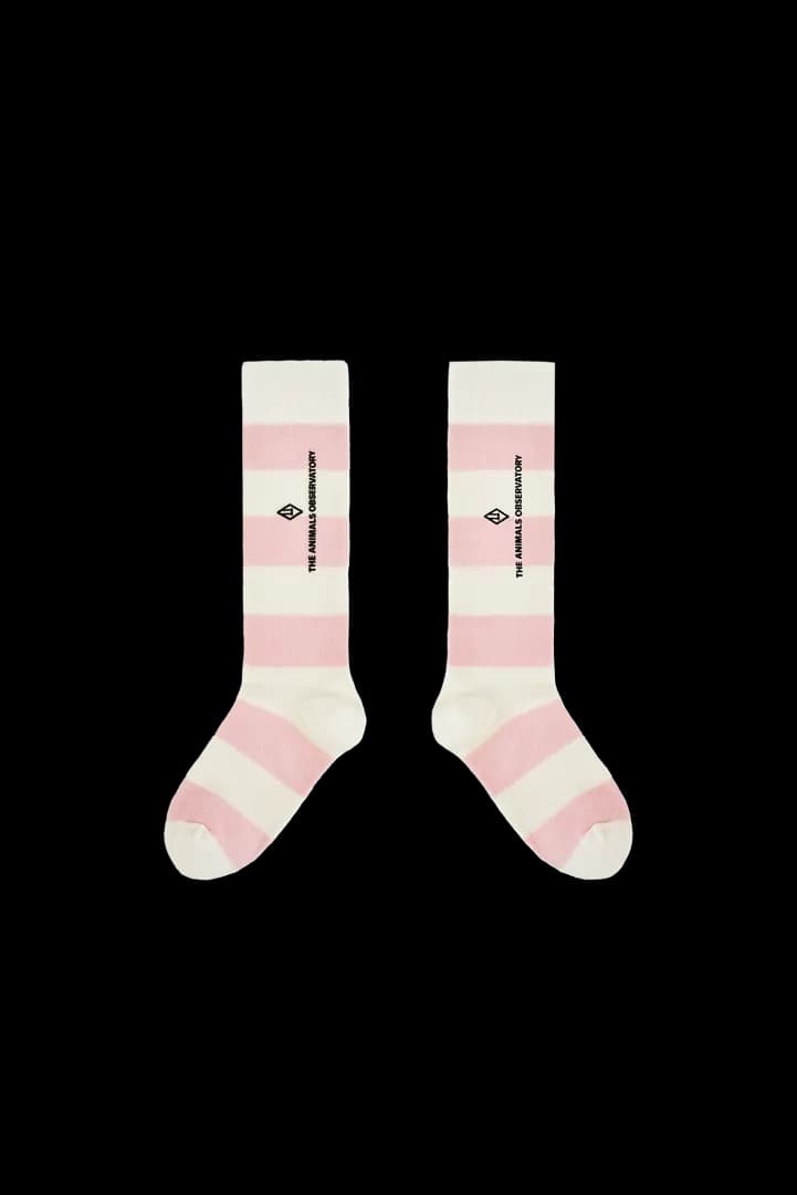 The Animals Observatory product 2