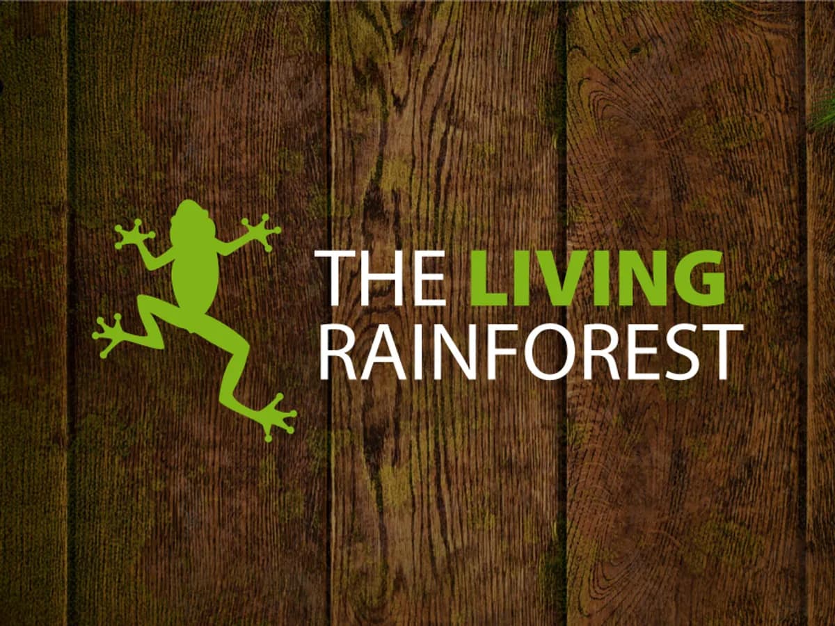 The Living Rainforest