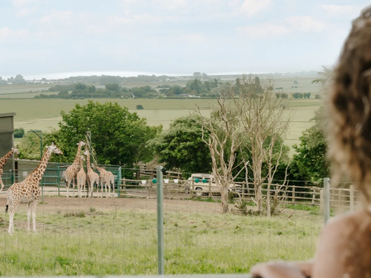 Port Lympne Reserve